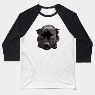 Staffy Looking Cute! Baseball T-Shirt